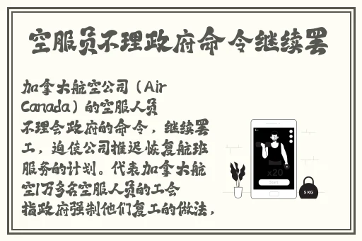 精品久久久久久中文字幕